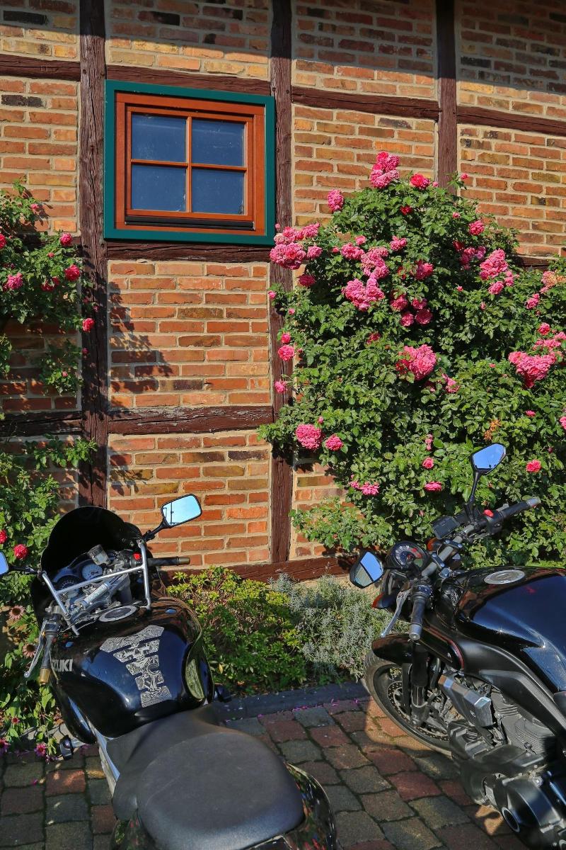 Landgasthaus Zur Linde image