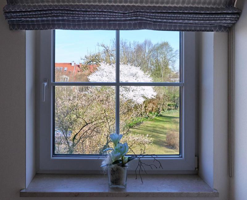 Hotel Alter Wirt image