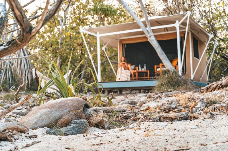Wilson Island 5
