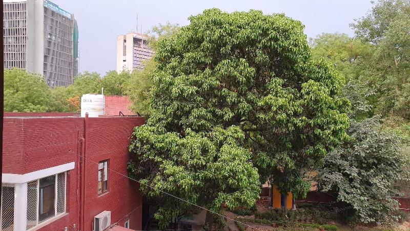 Ywca International Guest House image