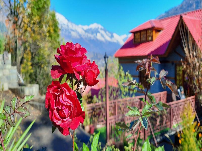 Regenta Inn Blossoms Kullu Manali image