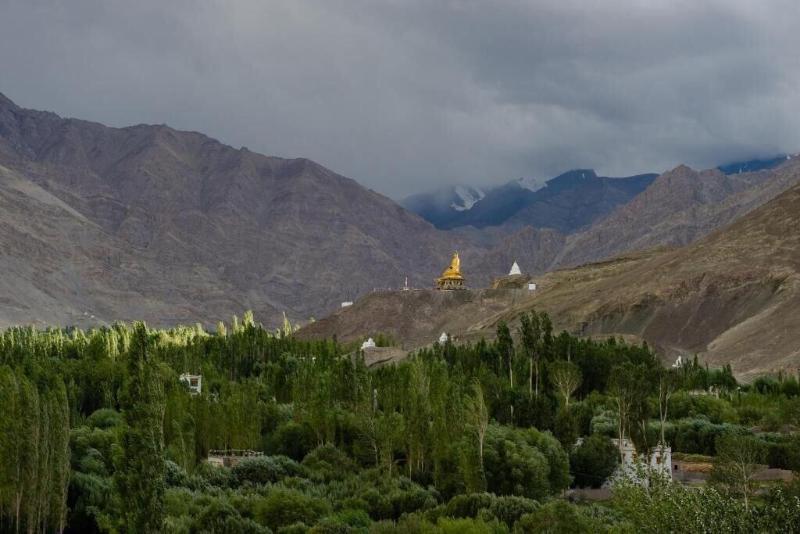 Stok Palace Heritage image
