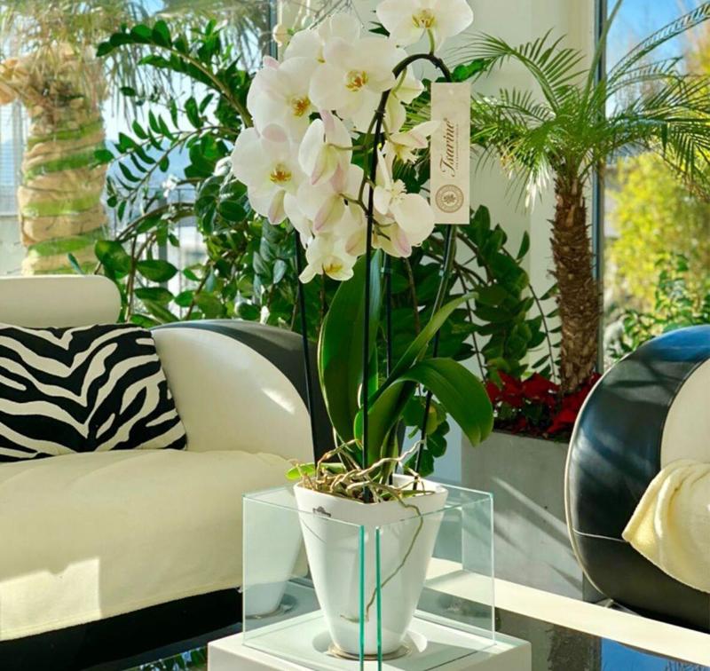 Perfect Lifestyle Design Boutique image