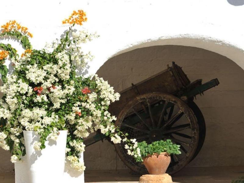 Masseria La Brunetta image