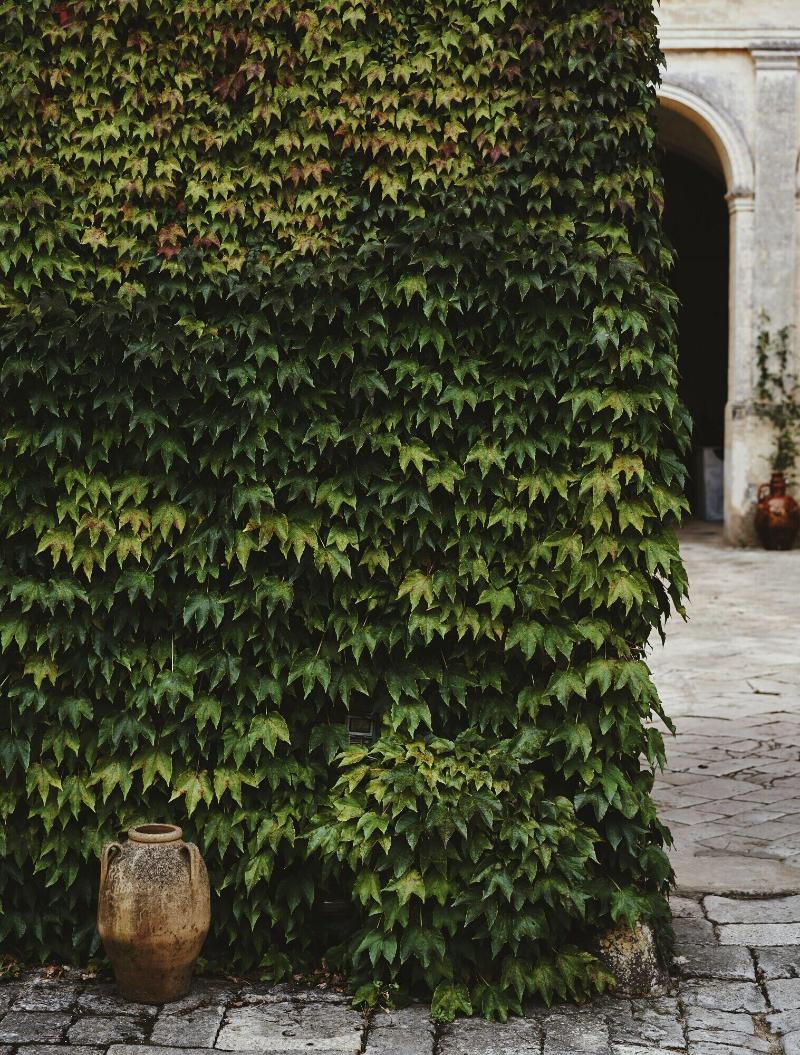 Palazzo Daniele image