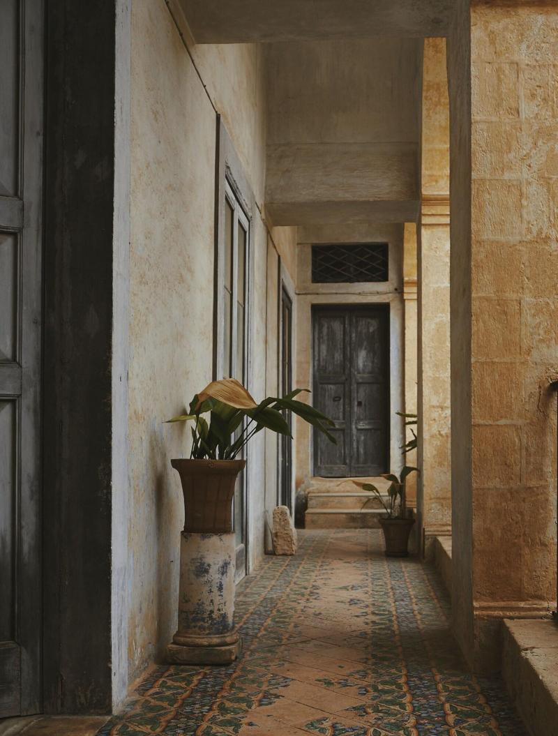 Palazzo Daniele image