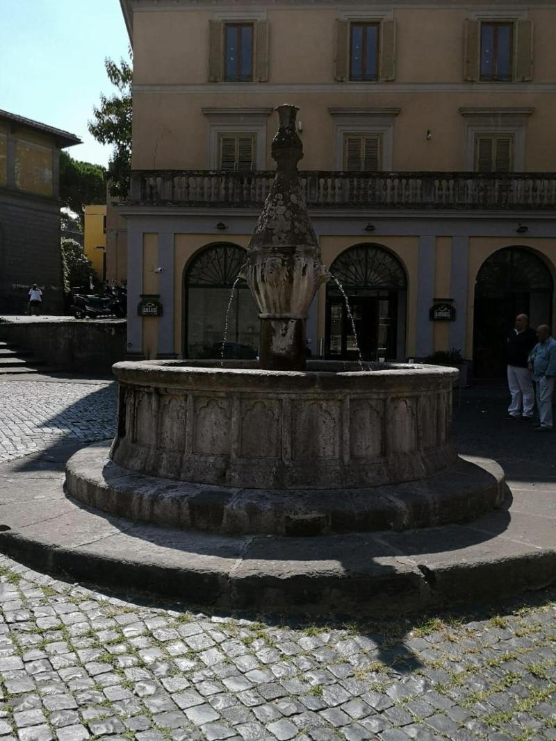 B&B Il Viterbino — photo 5