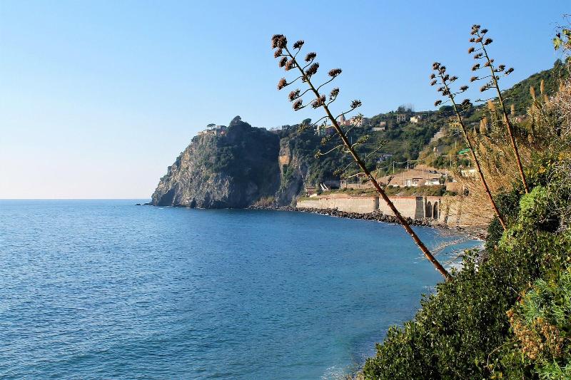 Golfo Della Luna image