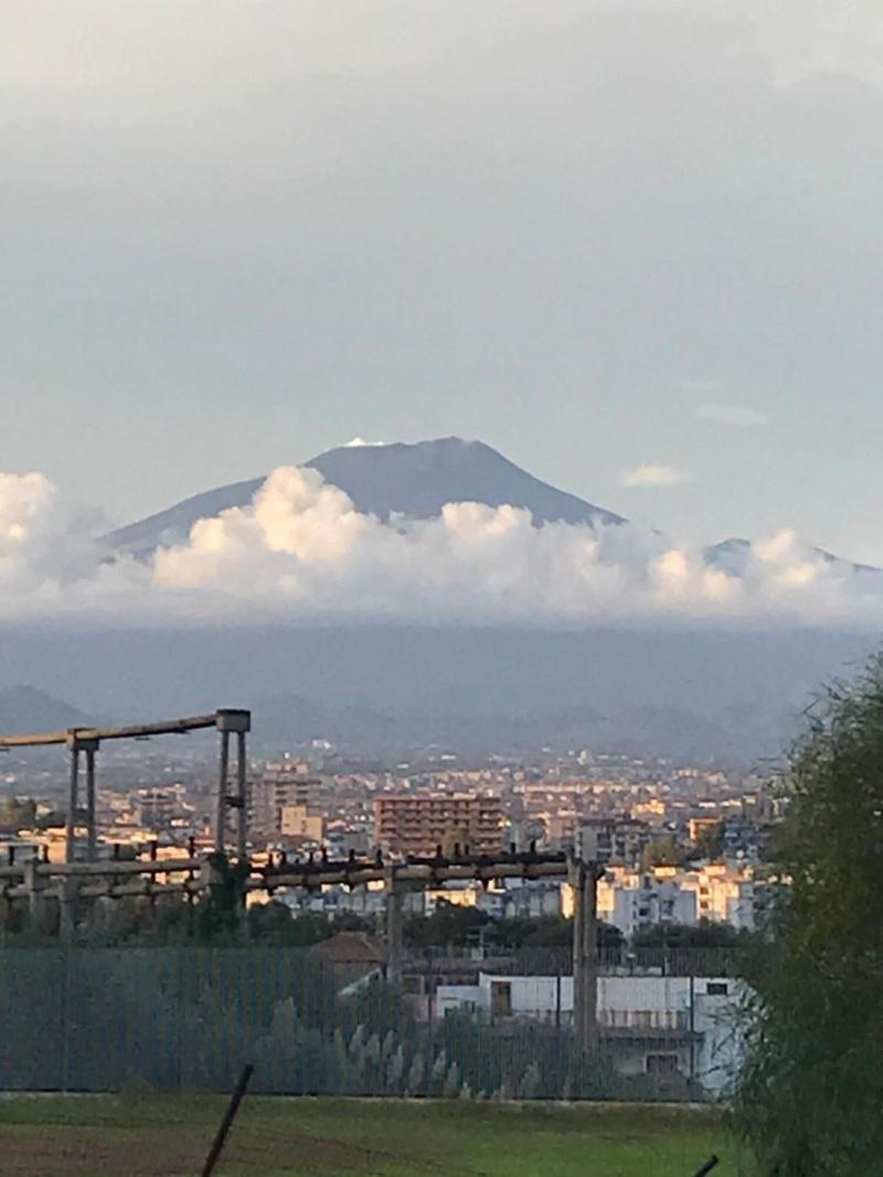 Papali image