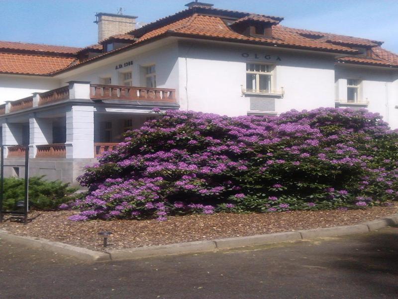 Hotel Vila Olga image