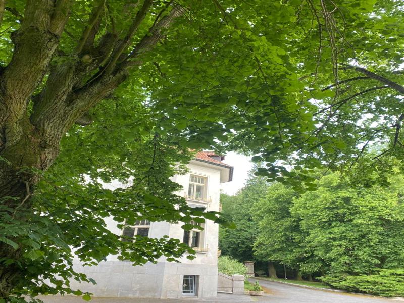Hotel Vila Olga image