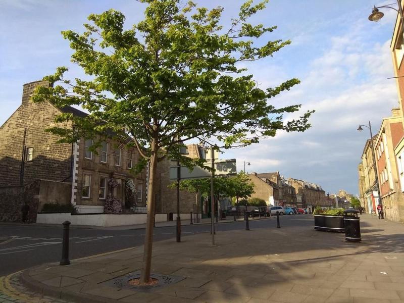 Burntisland House Hotel image