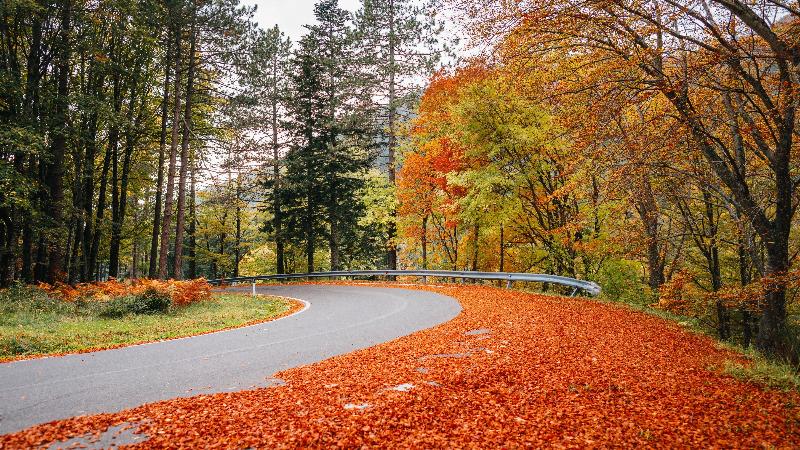 Voco Saranac Lake Ny - Waterfront By IHG image