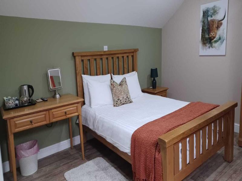 The Renishaw image