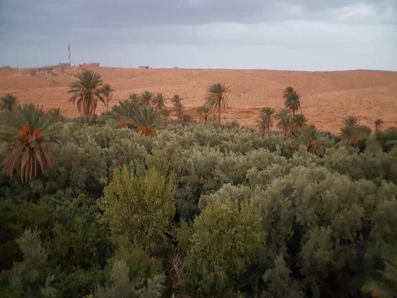 Riad Dar Bab Todra