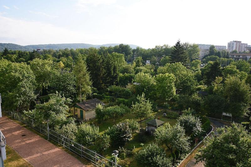 Mhost Bronowice image