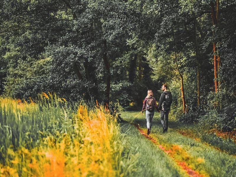 Pension Spreewelten image