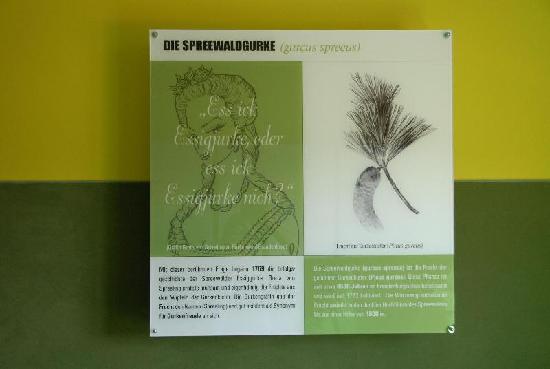 Pension Spreewelten image