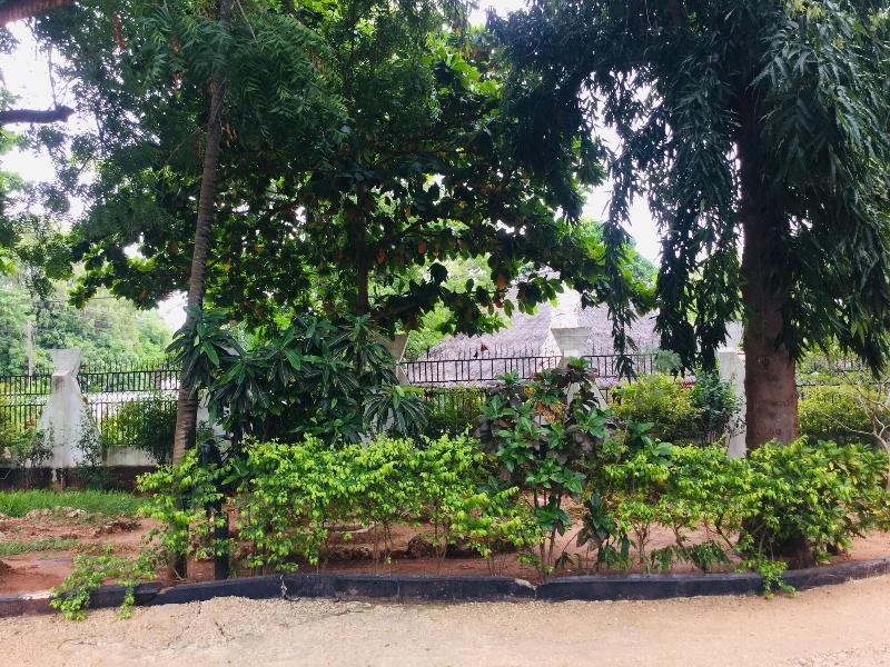 Emerald House image