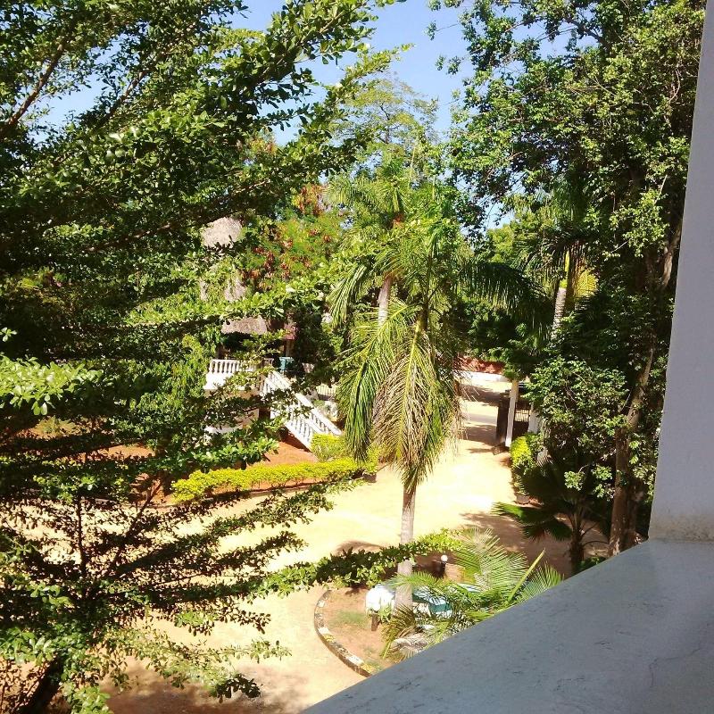 Emerald House image