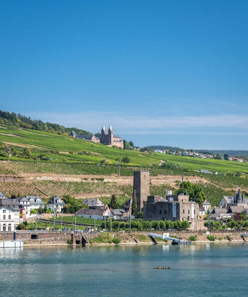 Neu Papa Rhein By Bollands Hotels image