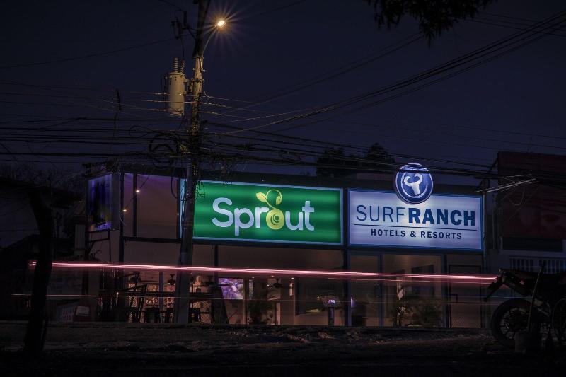 Surf Ranch Tamarindo image
