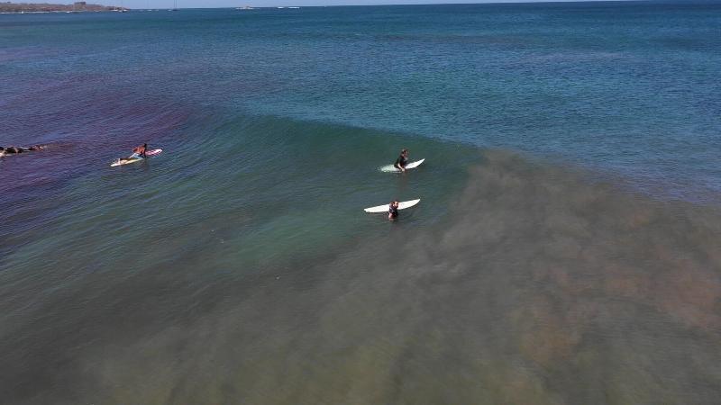 Surf Ranch Tamarindo image