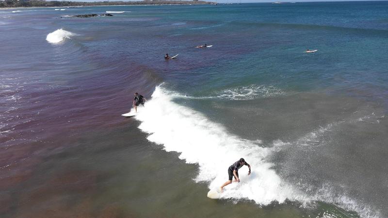 Surf Ranch Tamarindo image