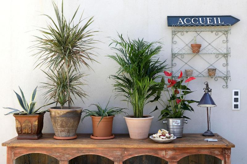 Justin De Provence image