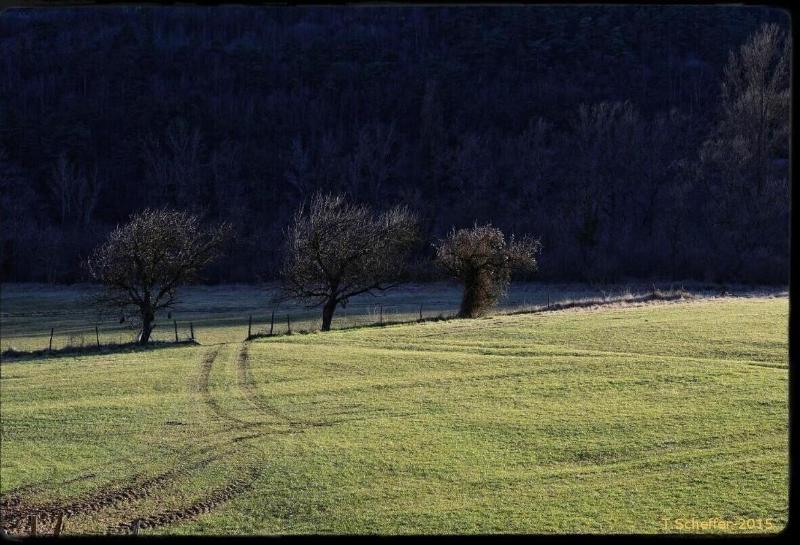 La Chapelle Saint Gervais image