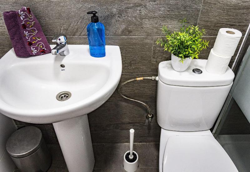 Aloe Vera Shared House - Hostel image