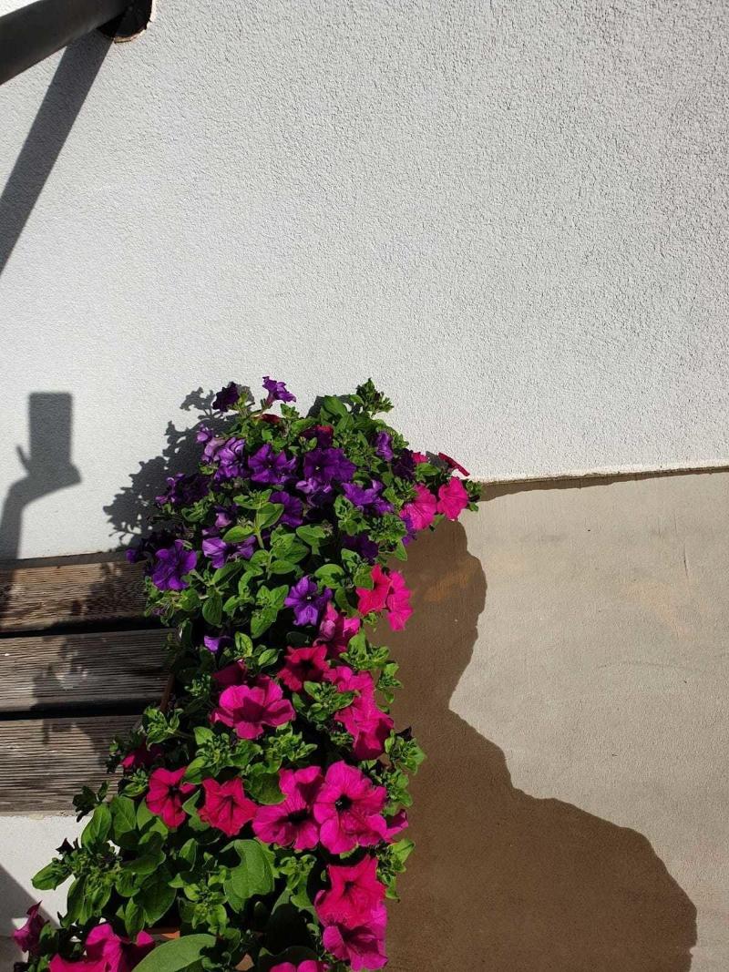 Golden B&B image