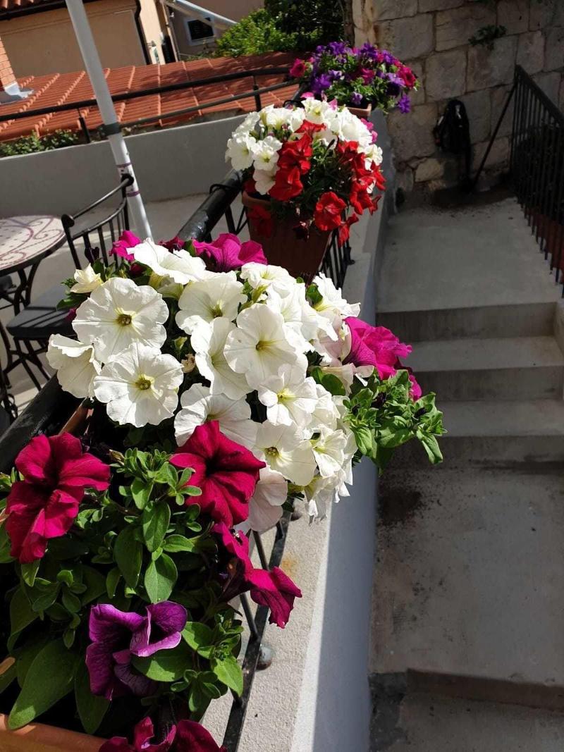 Golden B&B image
