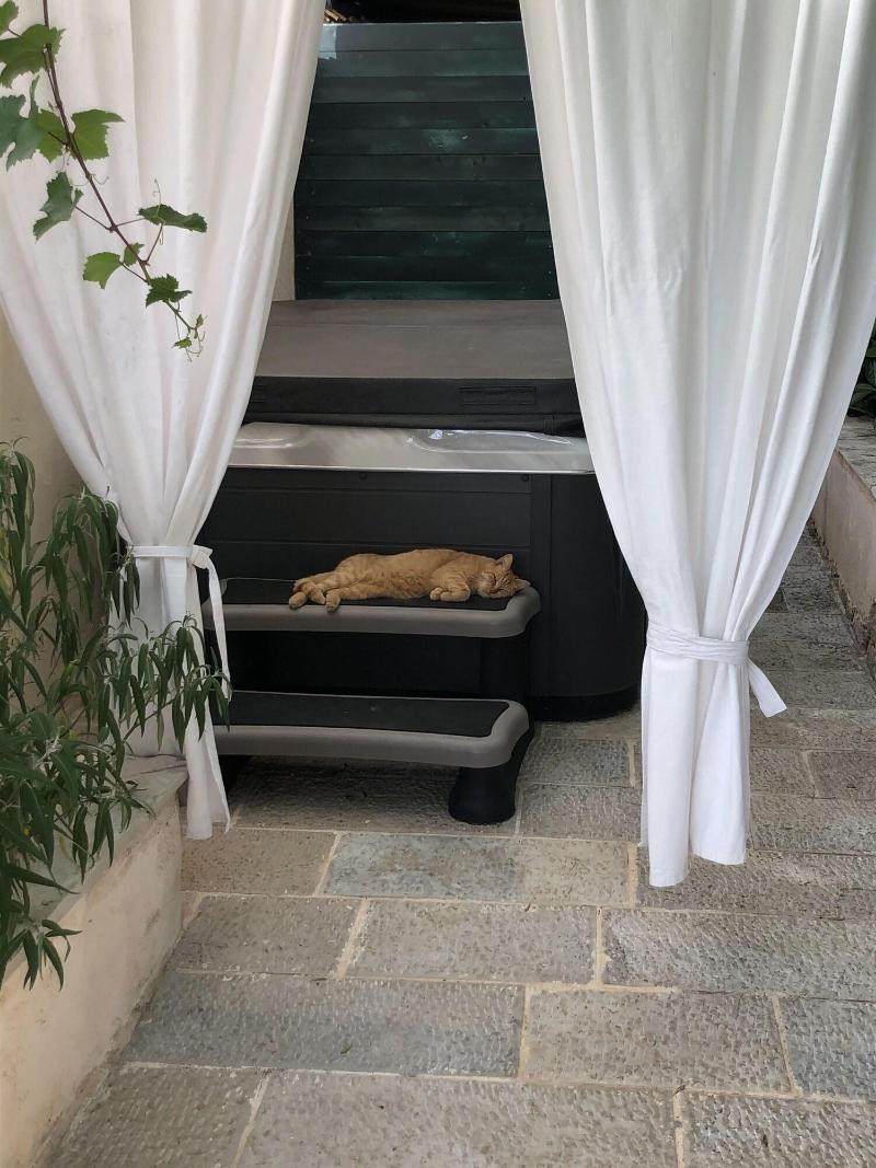 Villa Anica image