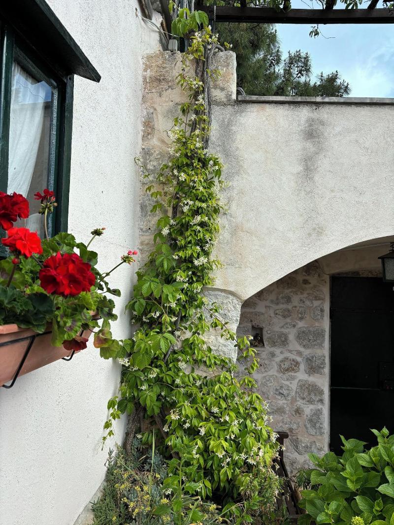 Villa Anica image