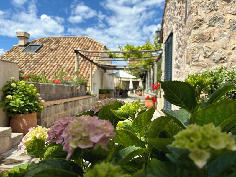 Villa Anica image