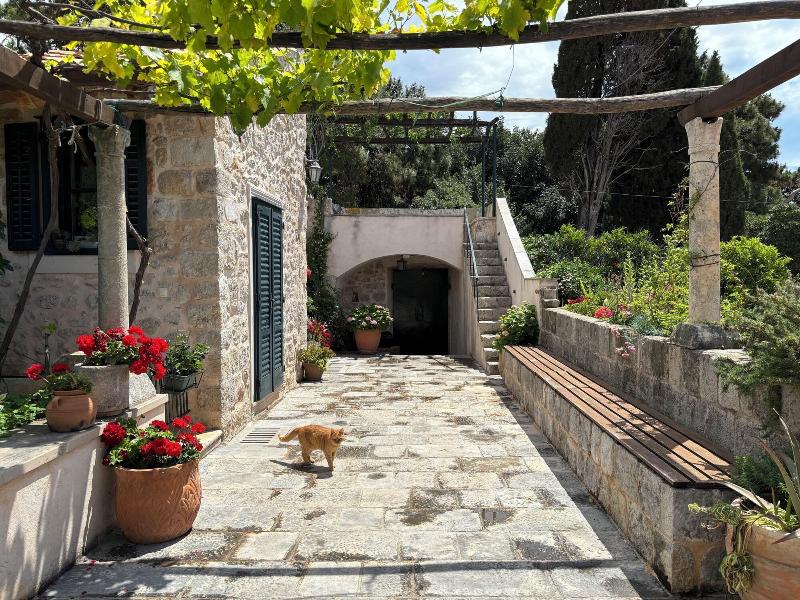 Villa Anica image