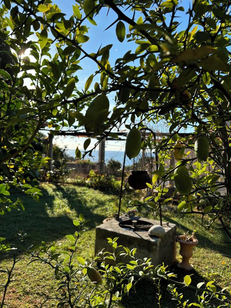 Villa Anica image