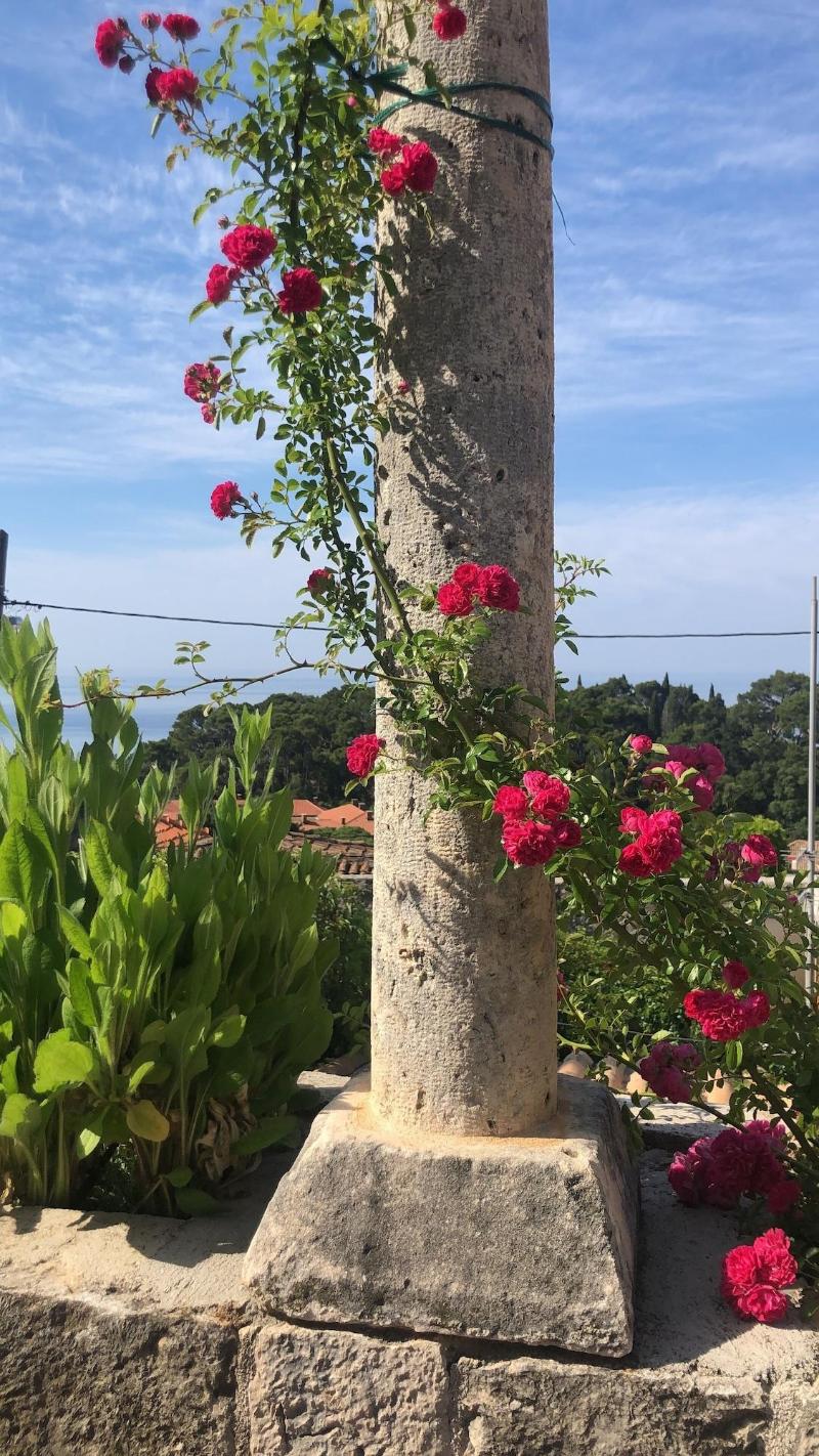 Villa Anica image