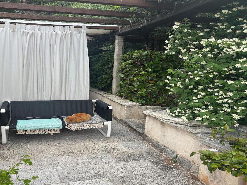 Villa Anica image