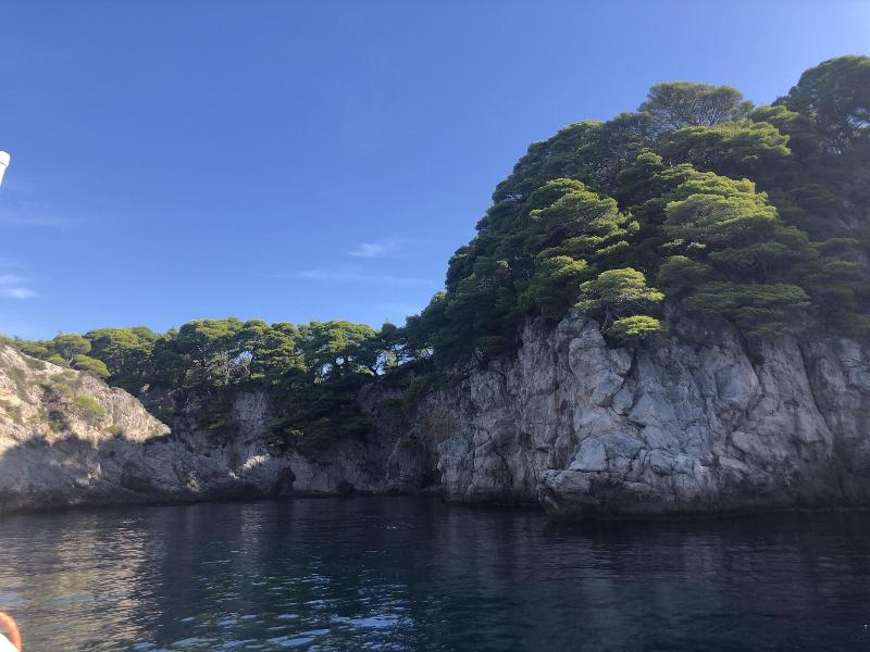 Villa Anica image