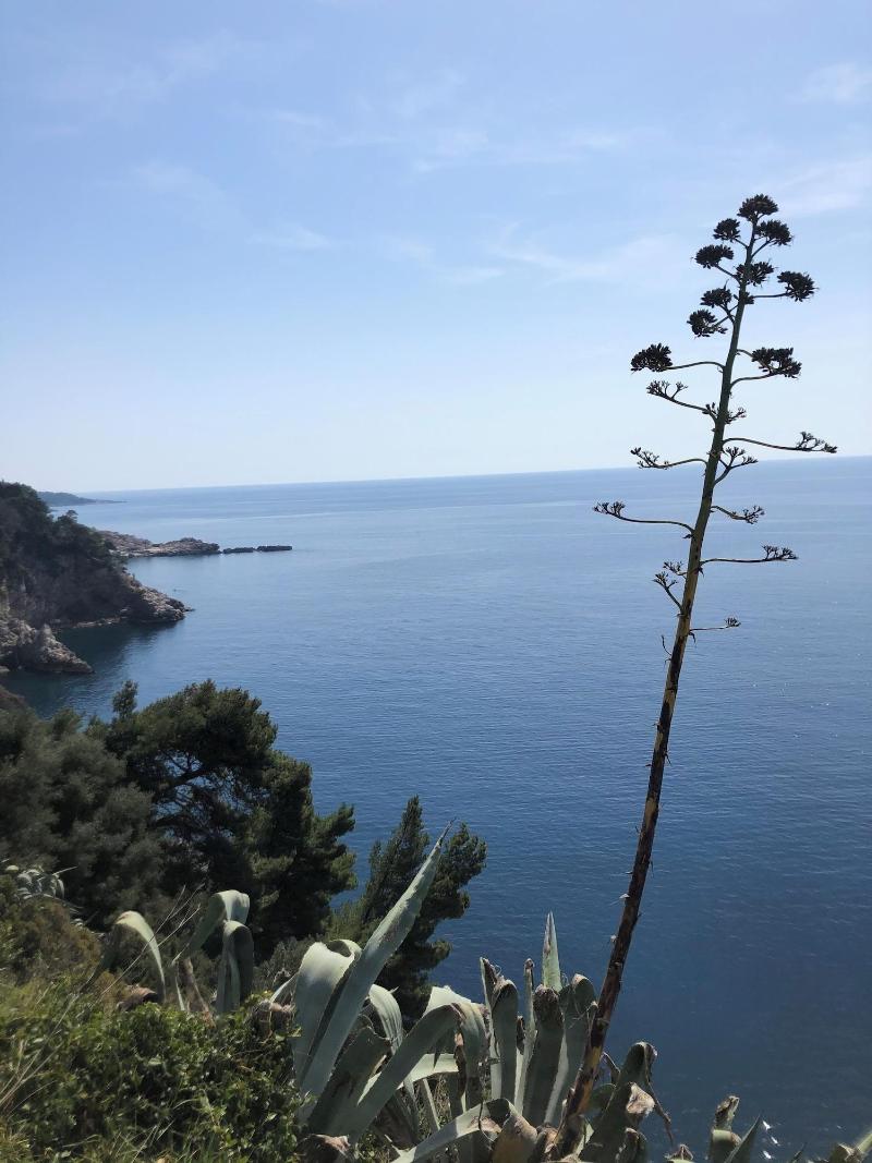 Villa Anica image