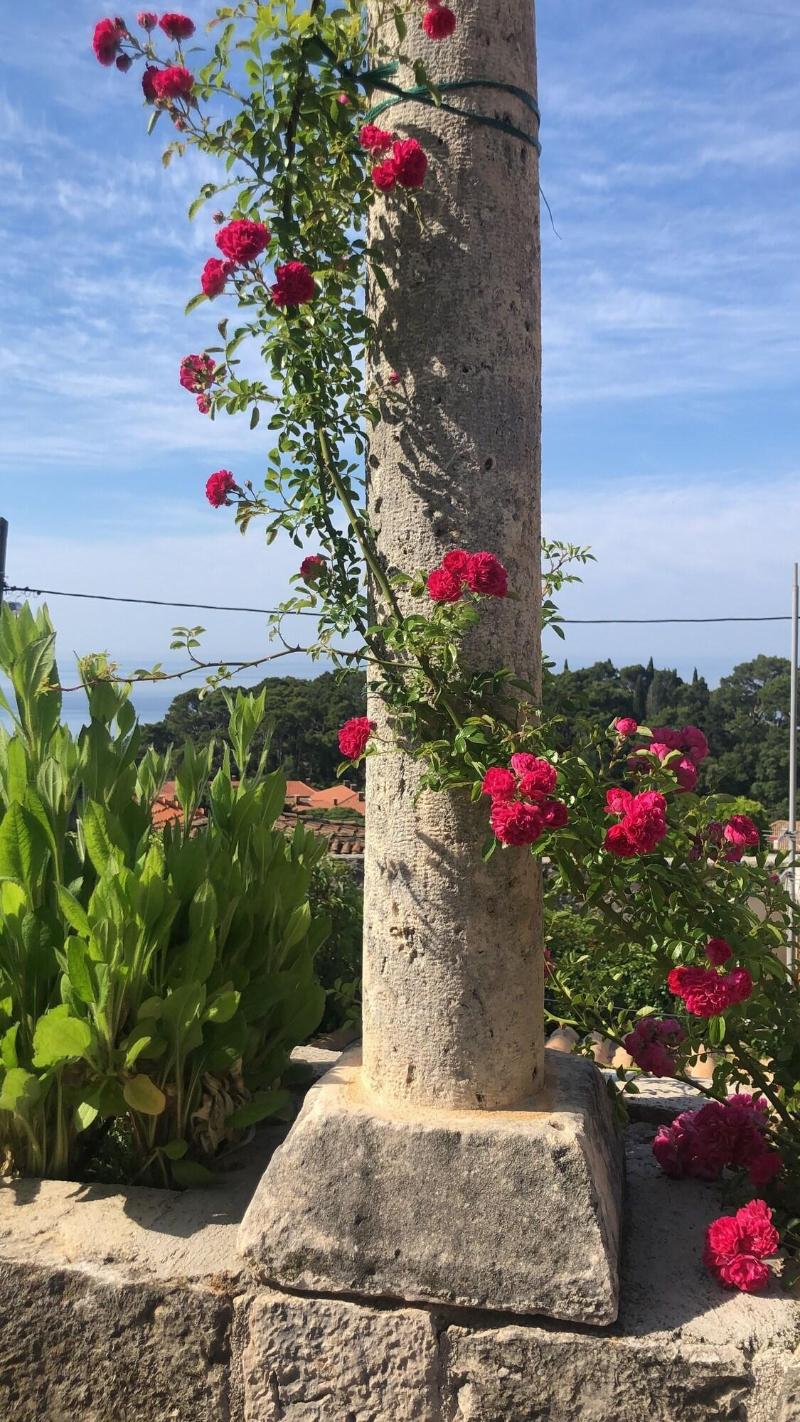 Villa Anica image