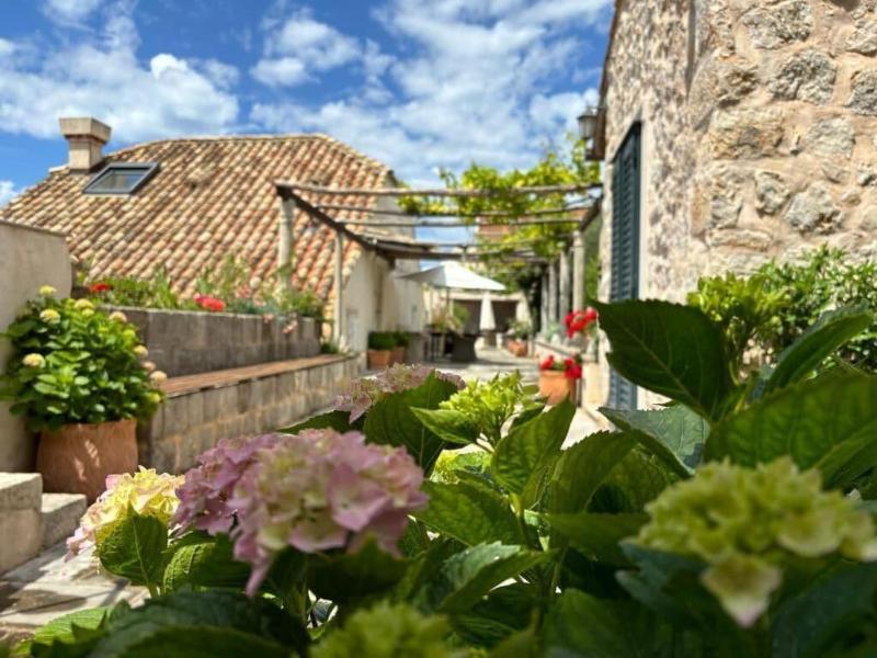 Villa Anica image