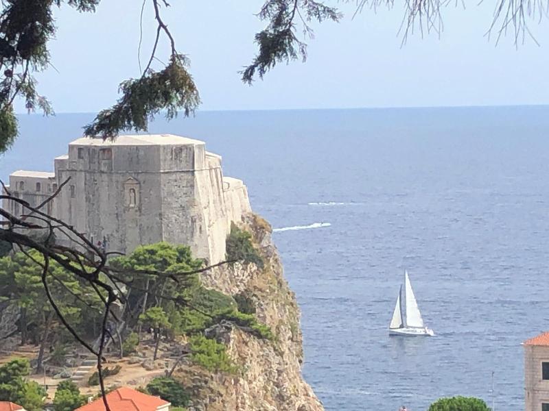 Villa Anica image