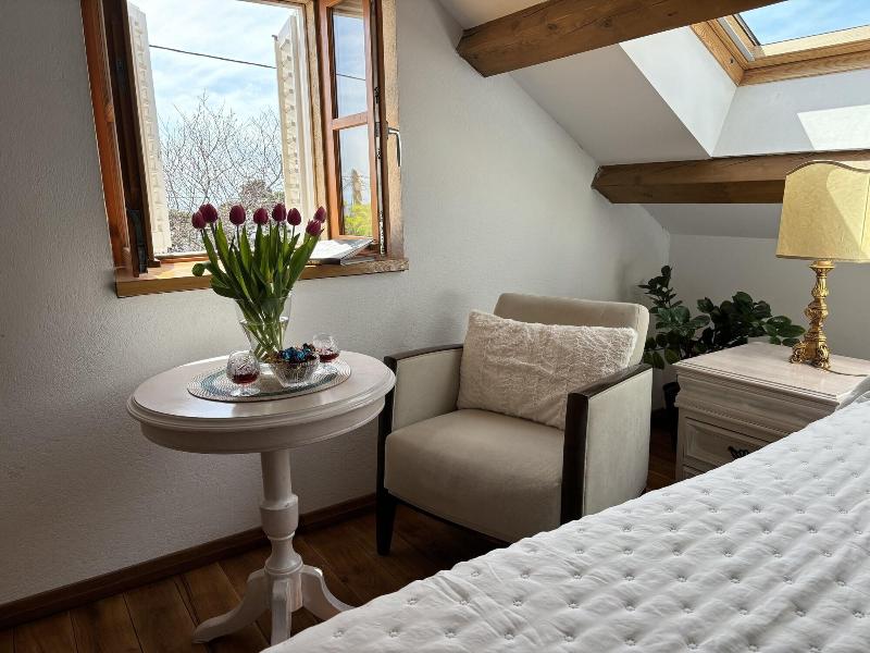 Villa Anica image