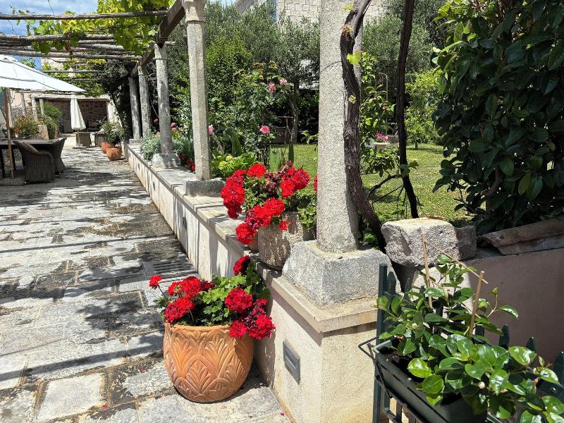 Villa Anica image