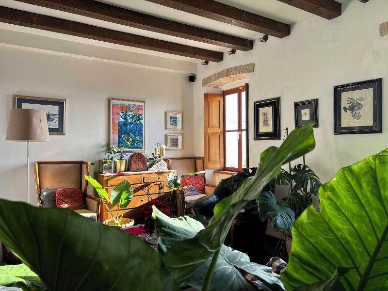 Villa Anica image