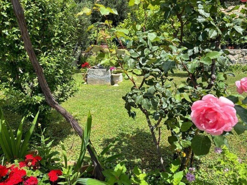 Villa Anica image