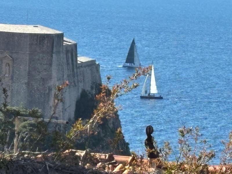 Villa Anica image
